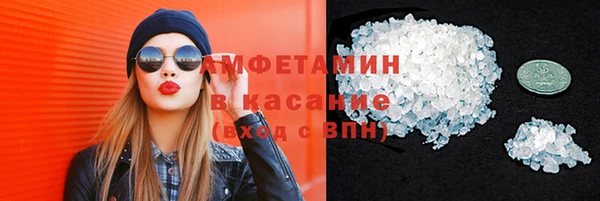 крисы Краснослободск