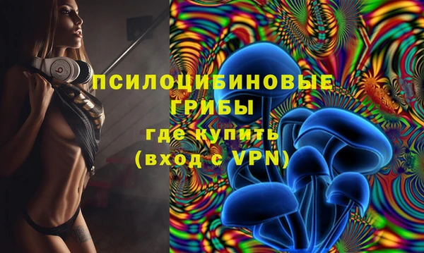 шишки Красноперекопск
