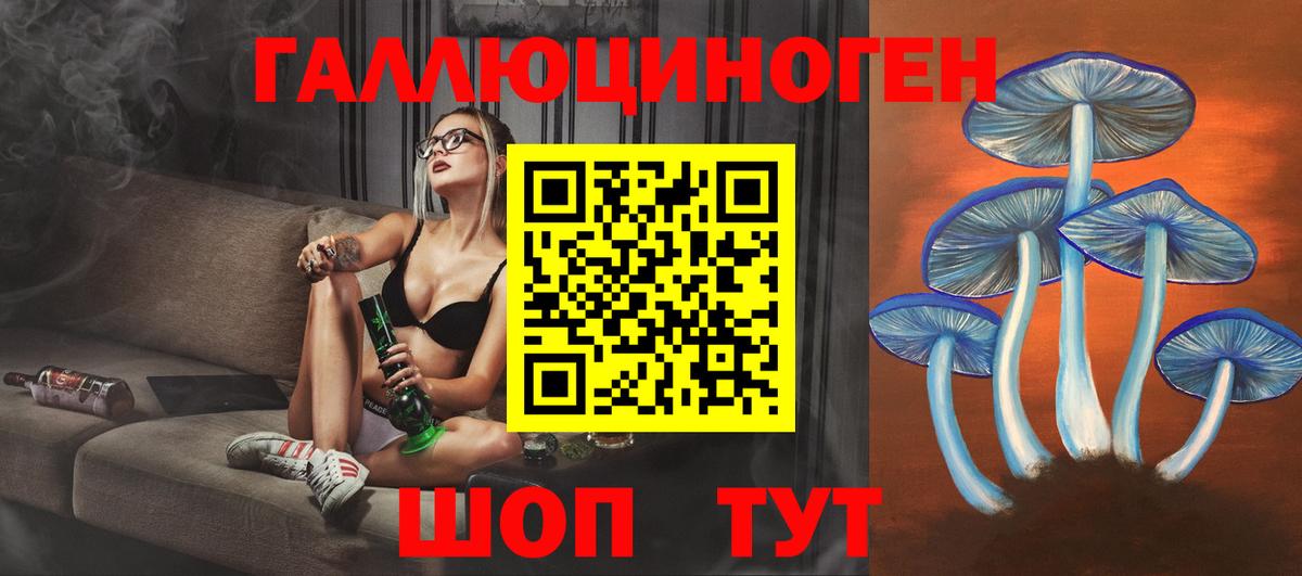 Галлюциногенные грибы Psilocybe  Псилоцибиновые грибы Psilocybe  Мелеуз 